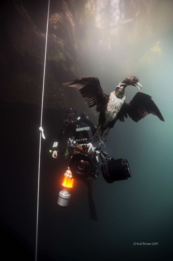 Stacks Image p600_n2